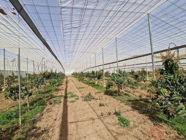 Casa rural en venta Molvízar, Andalucía
