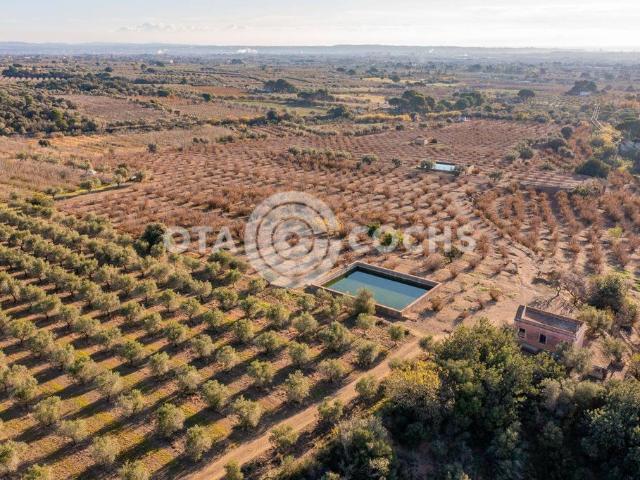 Casa rural en venta Castellvell, Cataluña