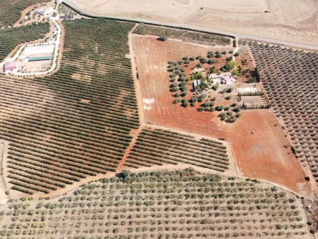 Casa rural en venta, Carmona, Sevilla