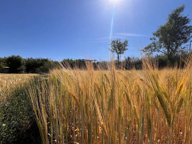Casa rural en venta en Manresa, de 13.000 m² 1 habitación por 70.000