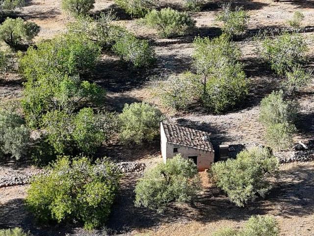 Casa rural en venta en polígono Parcela, Ametlla de Mar, l´, de 25 m² 1 habitación por 55.000