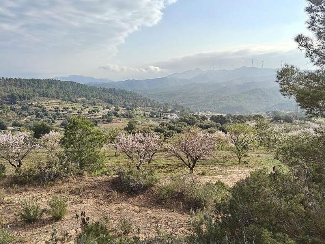 Casa rural en venta en Ascó, de 252 m² 4 habitaciones por 350.000