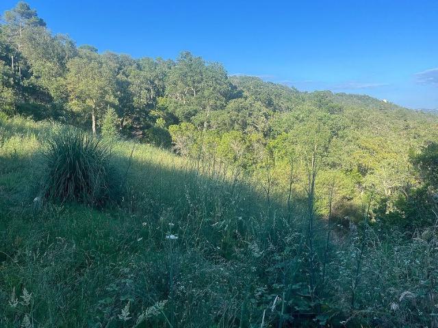 Casa rural en venta en calle De Lloret, Lloret de Mar, de 5.235 m² 1 habitación por 42.000 €