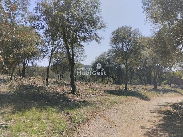 Casa rural en venta en calle Sant Daniel, Girona, de 42.000 m² 1 habitación por 150.000