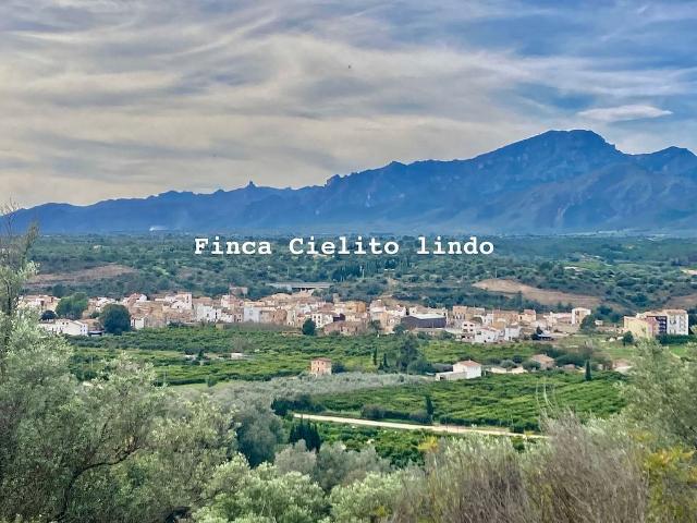 Casa rural en venta en calle, Perelló, el Tar, de 10 m² 1 habitación por 36.900