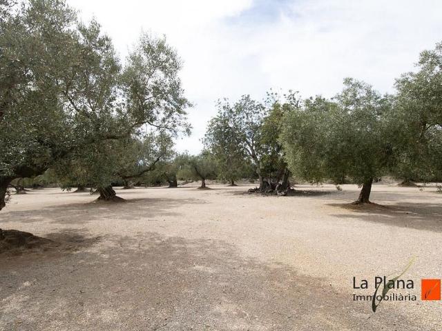Casa rural en venta en Galera, la, de 29 m² 1 habitación por 48.000