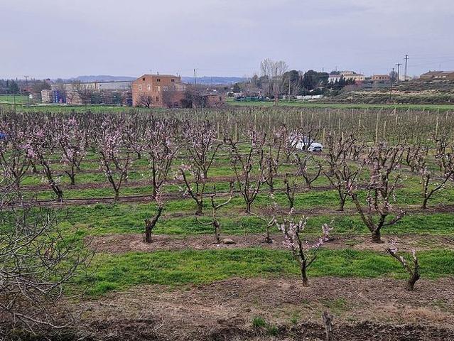 Casa rural en venta en Lleida, de 60 m² 1 habitación por 36.000