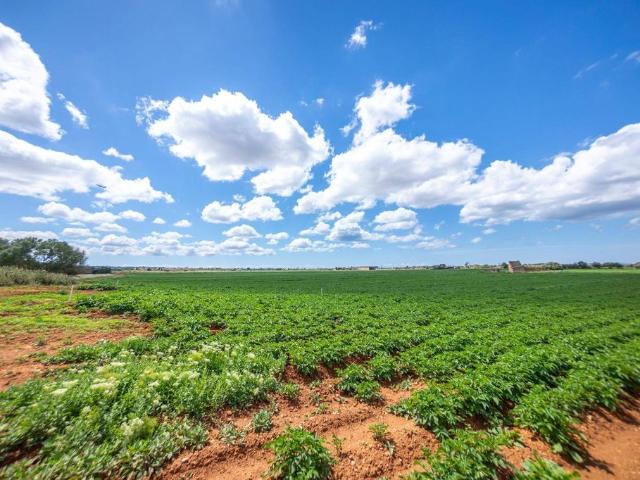 Casa rural en venta Palma de Mallorca, Baleares