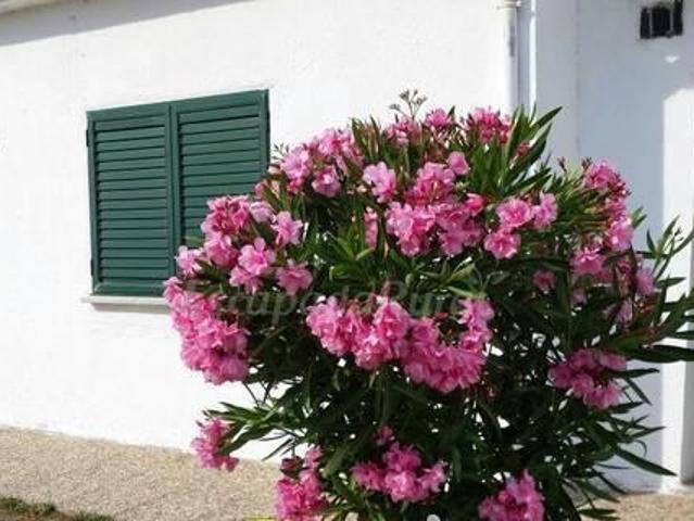 Casa Rural San Blas