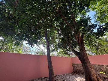 Casa Remodelada en Venta en Centro de M?rida