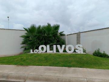 CASA RESIDENCIAL EN VENTA LOS OLIVOS, G?MEZ PALACIO,DGO