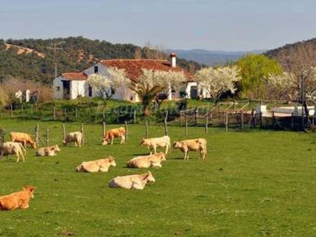 Casa Robledo