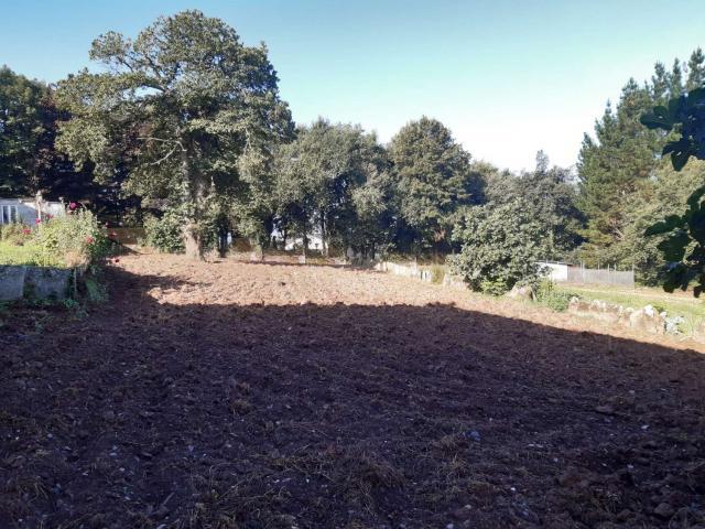 Casa Samos Lugo 81145309