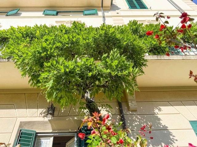 Casa semindipendente in vendita a Viareggio via IV Novembre