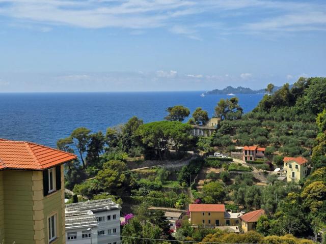 Casa Semindipendente in affitto a Zoagli via dei Velluti, 5, arredato, giardino privato, terrazzo TrovaCasa
