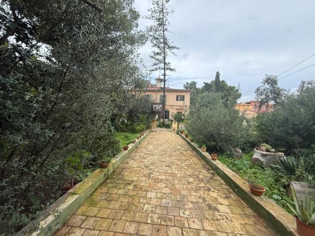 Casa Señorial Independiente en Palma Zona Colegios