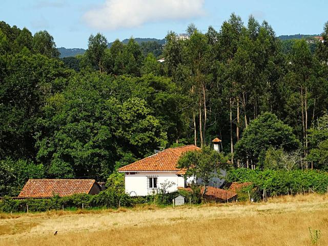 Casa singular de 309 m² en Narón, con molino. Con 4 dormitorios, en una parcela de 10.443 m²
