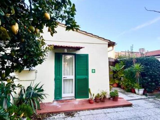 Casa singola in affitto a Marina di Pisa Pisa 55 mq Rif: 1398952