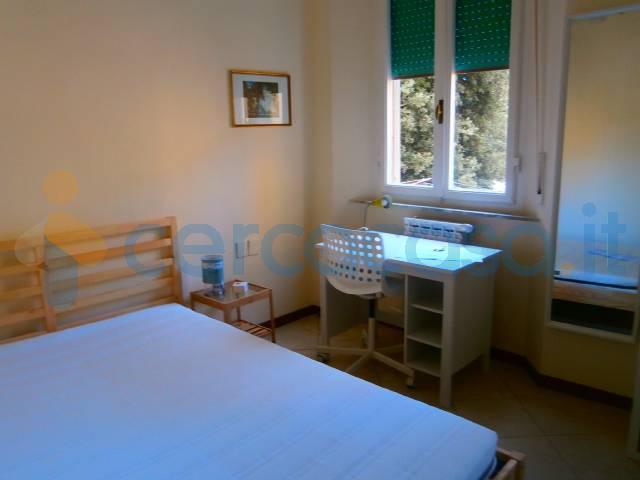 Casa singola in affitto a Pisa