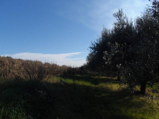 Casa singola in vendita a Monteprandone, Centobuchi
