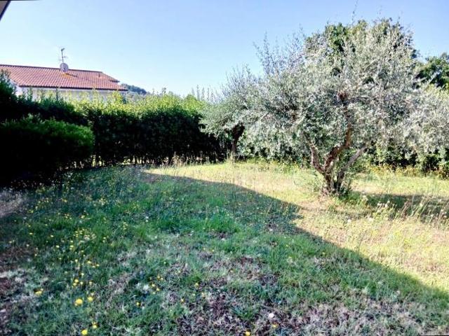 Casa singola in vendita a Bozzano Massarosa 330 mq Rif: 1423519