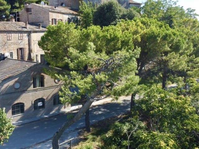Casa singola in vendita a Campofilone
