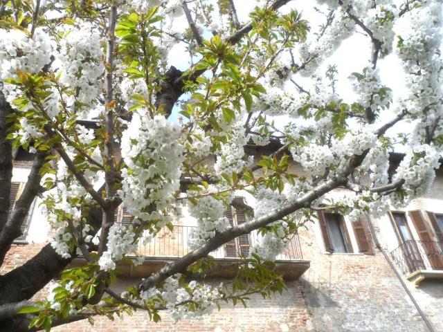 Casa singola in vendita a Casteggio