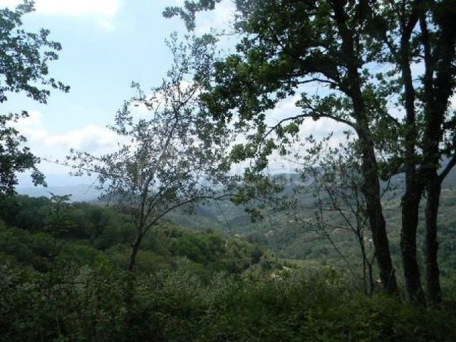 Casa singola in vendita a Fosdinovo 42 mq Rif: 1036132