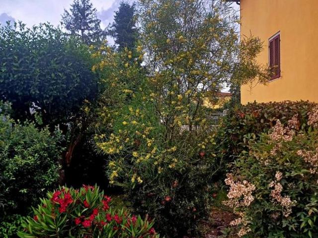Casa singola in vendita a Staffoli Santa Croce sull'Arno 280 mq Rif: 1403031