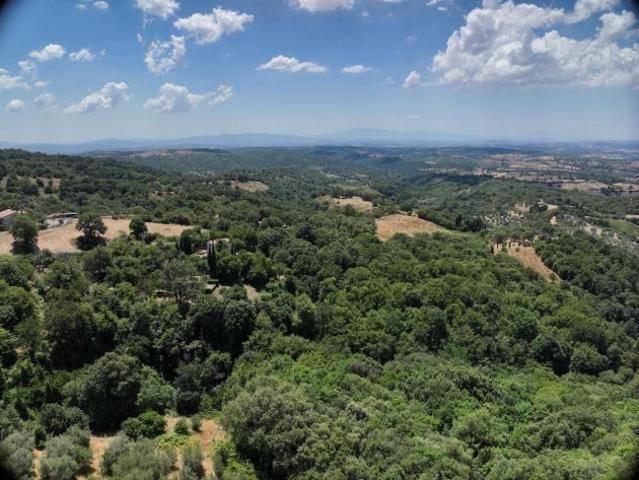 Casa singola in vendita a Scansano 160 mq Rif: 1428626