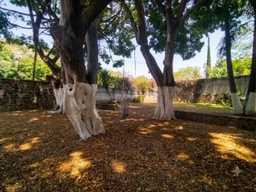 CASA SOLA EN VENTA, DE UN NIVEL, CON JARDIN, EN YAUTEPEC, MORELOS