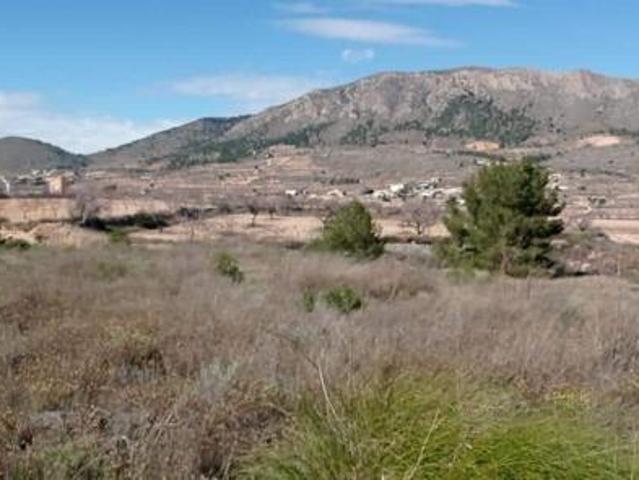 Casa Spain Spain LS97175937