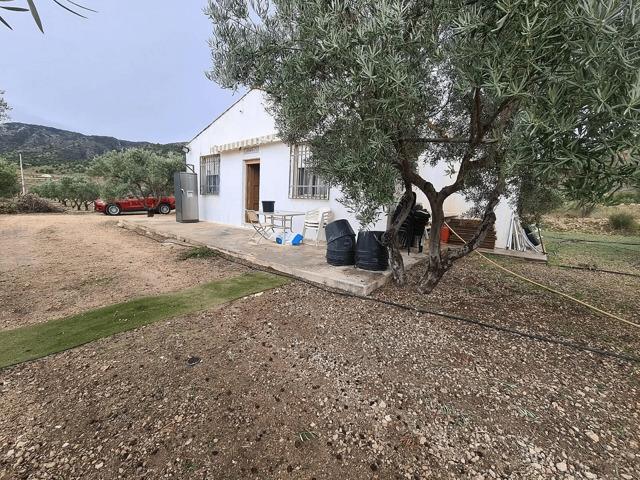 Casa Spain Spain LS97176159