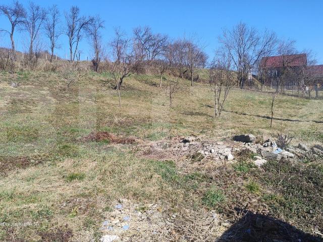 Casa spatioasa cu teren generos de 1447 mp in Șomcutu Mic – ideala