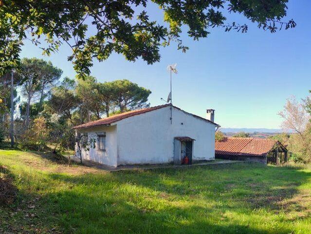 Casa T2 em Midões de 52,00 m² 52m² Oliveira do conde