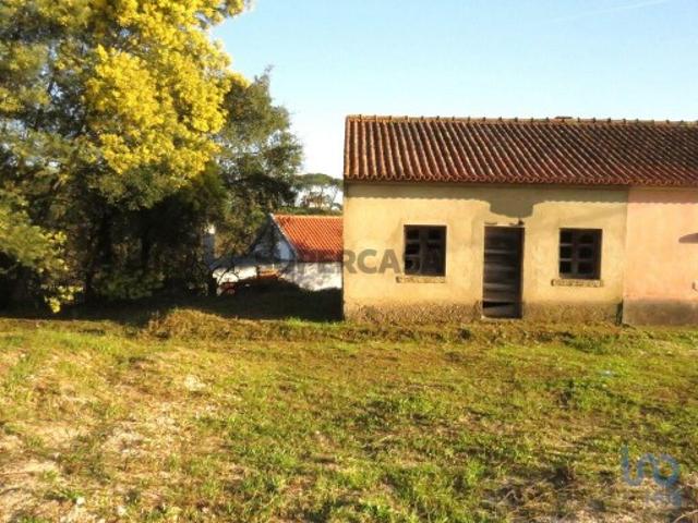 Casa T2 em Tomar São João Baptista e Santa Maria dos Olivais de 44,00 m²