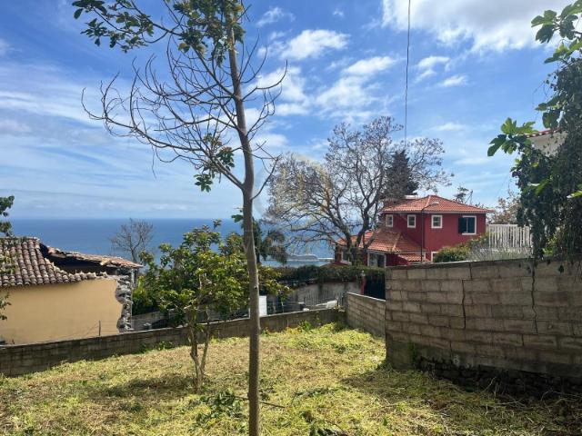 Casa T3 com anexo e terreno extra