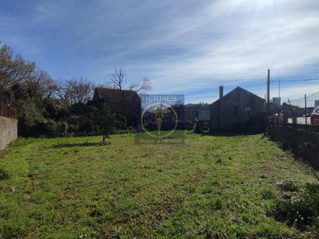 Casa Tui Pontevedra 84771247