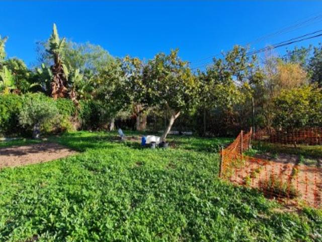 Casa térrea p/ recuperar, com 1,661 m² de terreno à venda Luz Tavira