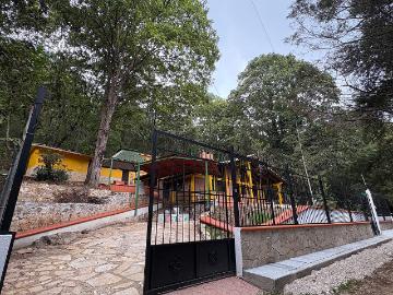 Casa tipo Cabaña rodeada de vegetación dentro de la ciudad