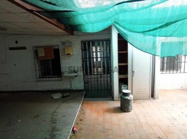 Casa tradicional algarvia com quintal