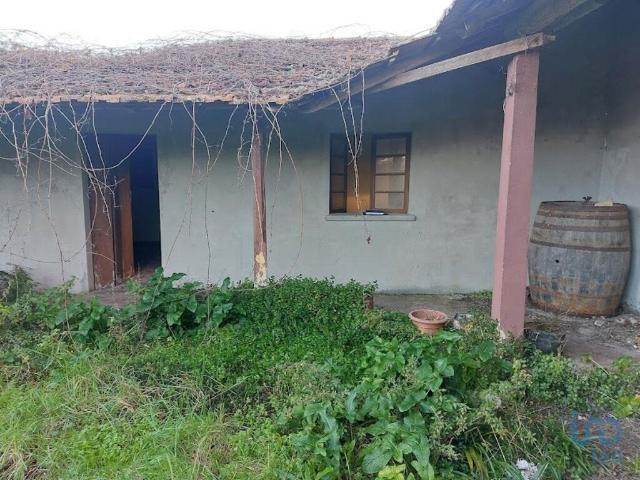 Casa tradicional T2 em Carapelhos de 210,00 m²