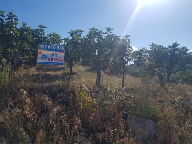 Casa adosada en venta en Torremenga
