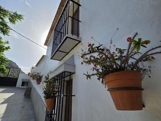 Casa Urbana de 270 m2 con Parcela Rústica de más de 1.800 m2 en Almogía