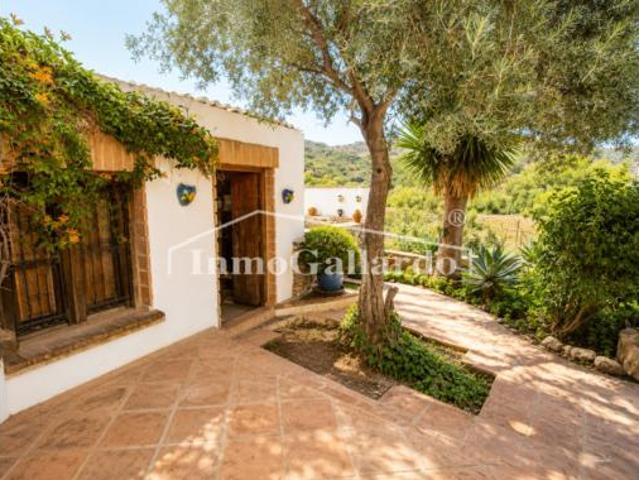 Casa Venta Macharaviaya, Macharaviaya