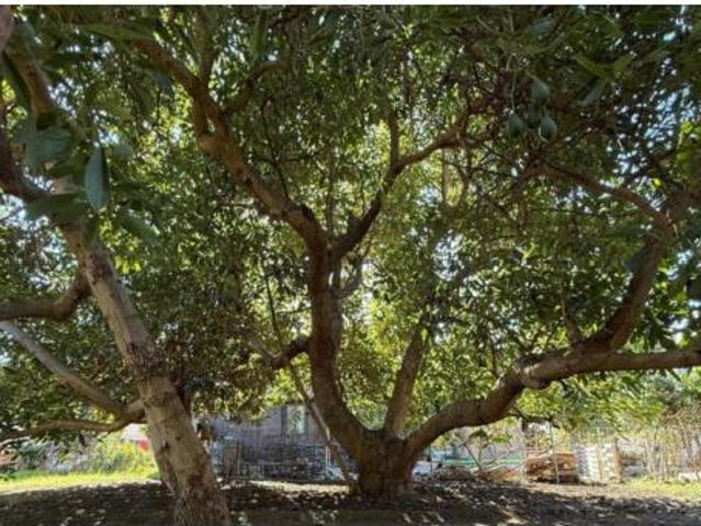 Casa Venta Marbella, Guadalmina