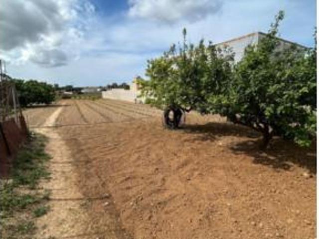 Casa Venta Chiclana de la Frontera, La Soledad La Coquina Los Gallos