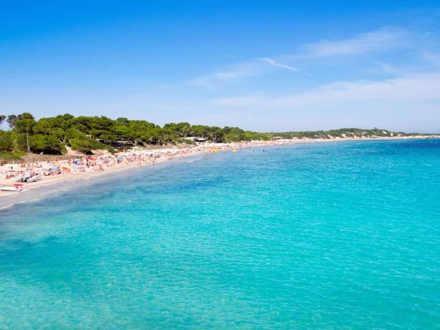 Terreno Industrial Venta Islas Baleares