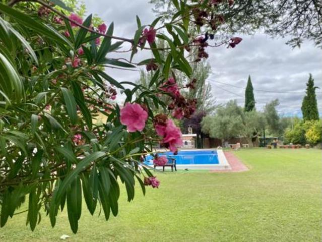 Casa Venta Lanciego Lantziego, Lanciego Lantziego