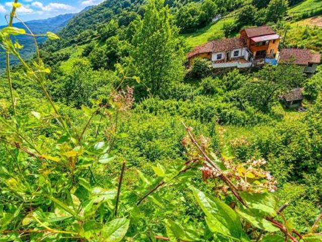 Casa Venta Lena, Lena